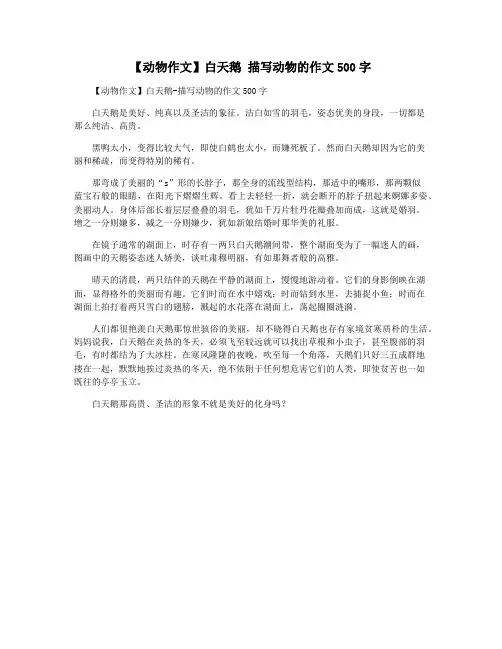 【动物作文】白天鹅 描写动物的作文500字