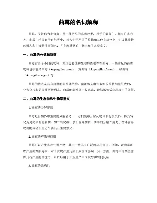 曲霉的名词解释