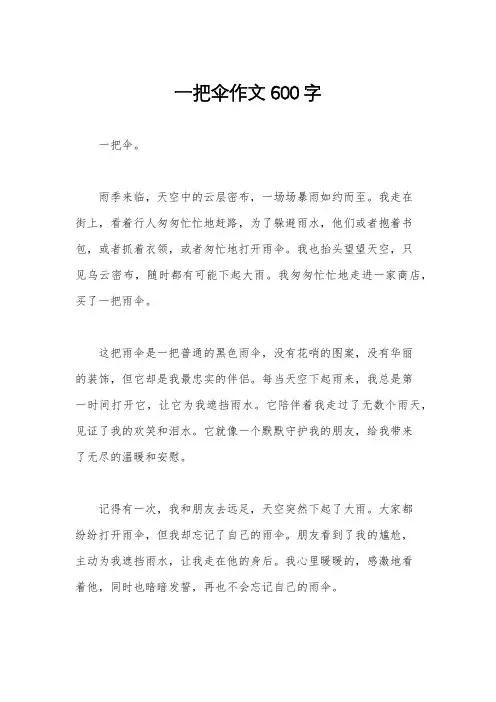 一把伞作文600字