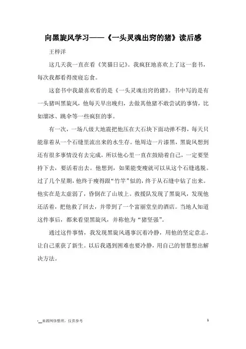 向黑旋风学习——《一头灵魂出窍的猪》读后感_读后感