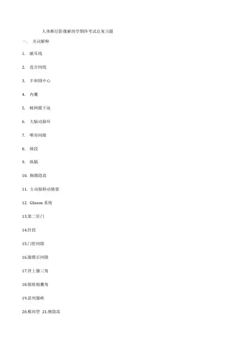 人体断层解剖学期终考试总复习题