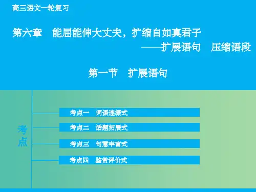高考语文大一轮复习 专题1.6.1 扩展语句课件