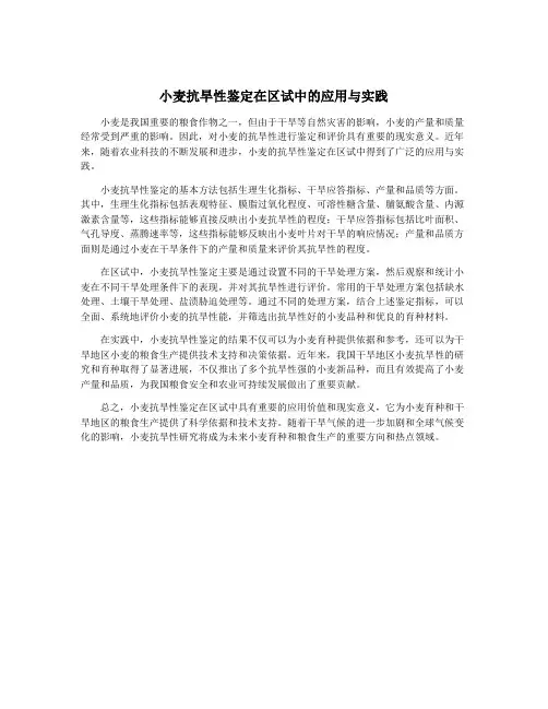 小麦抗旱性鉴定在区试中的应用与实践