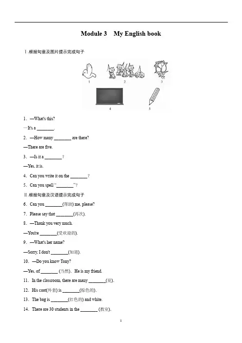 初中英语 外研版七年级上学期 Starter Modules Module 3 My English book 同步练习(含答案)