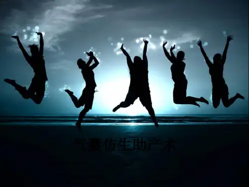 气囊仿生助产术ppt课件
