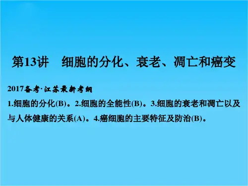 【创新设计】2017版高考生物(江苏专用)一轮复习课件第4单元 细胞的生命历程 第13讲