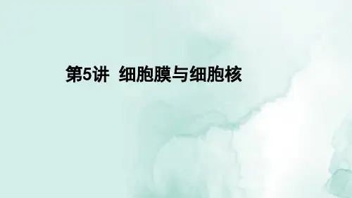 高三生物一轮复习精品课件4：第5讲 细胞膜与细胞核