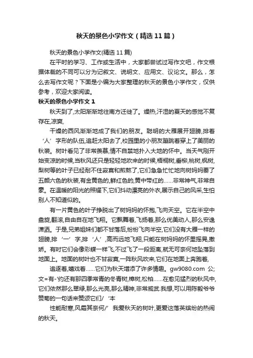 秋天的景色小学作文（精选11篇）