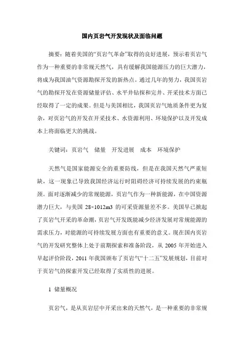 国内页岩气开发现状及面临问题