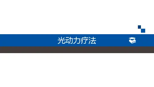 光动力学ppt课件