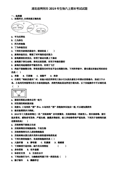 湖北省黄冈市2019年生物八上期末考试试题