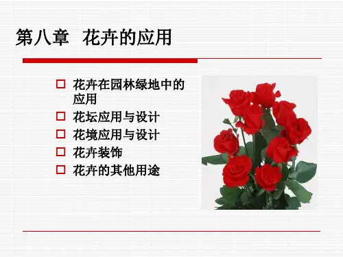 花卉的室外应用