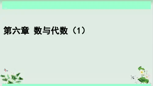 北师大版《数与代数》课件完美版1
