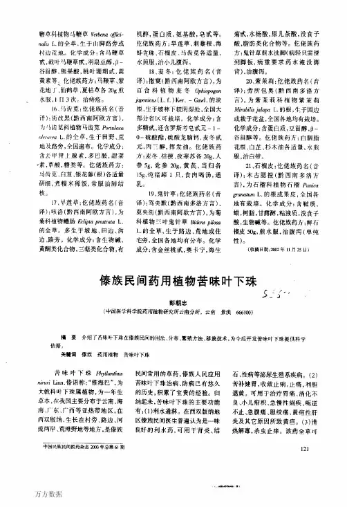 傣族民间药用植物苦味叶下珠