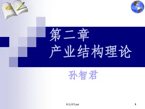《产业结构理论》PPT课件