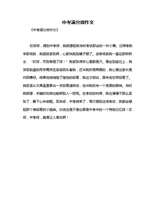 中考满分微作文