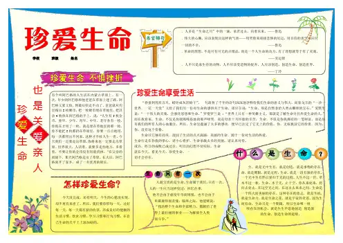 珍爱生命87A3安全常识电子小报成品,交通安全手抄报模板,防火防灾防溺水简报,用电安全知识板报