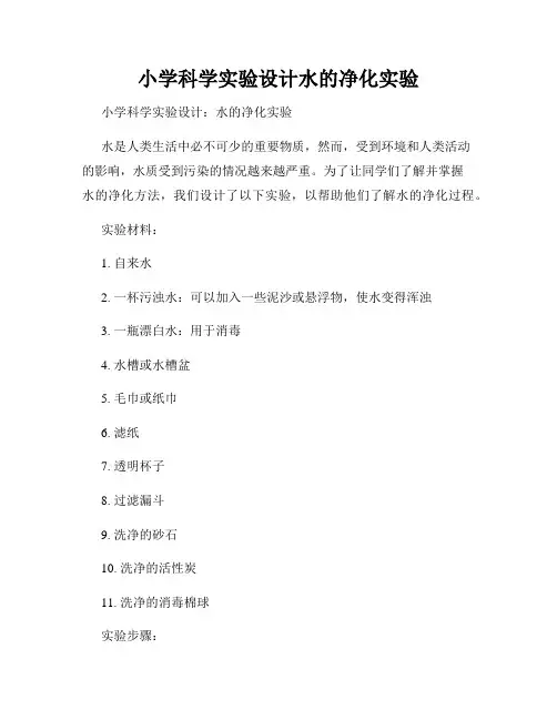 小学科学实验设计水的净化实验
