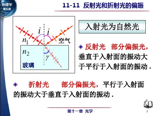 反射光 部分偏振光,垂直于入射面的振动大于平行于入射面的