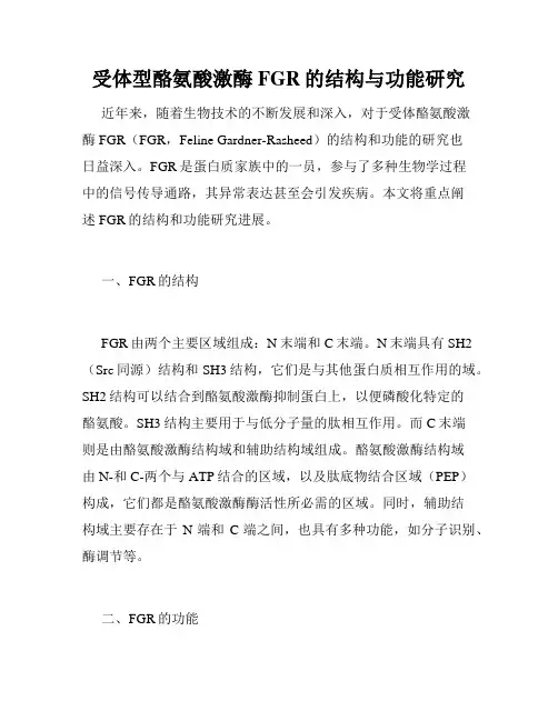 受体型酪氨酸激酶FGR的结构与功能研究