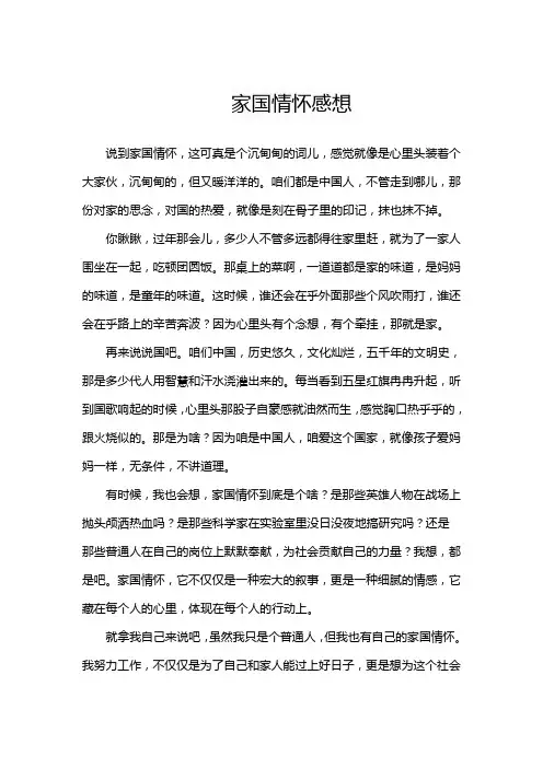 家国情怀感想