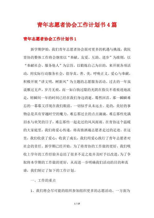 青年志愿者协会工作计划书4篇