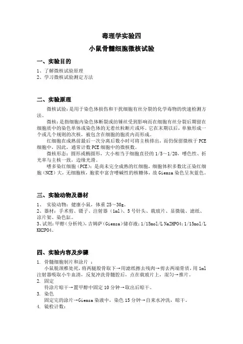 毒理学实验四