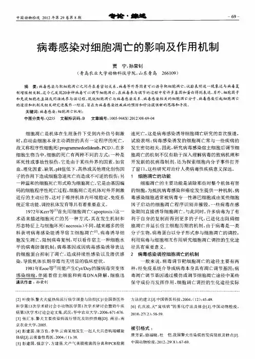 病毒感染对细胞凋亡的影响及作用机制