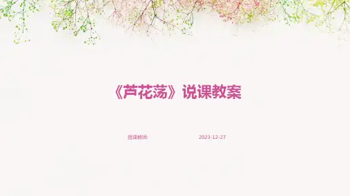 《芦花荡》说课教案