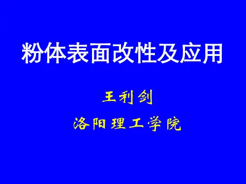 粉体工程粉体表面改性