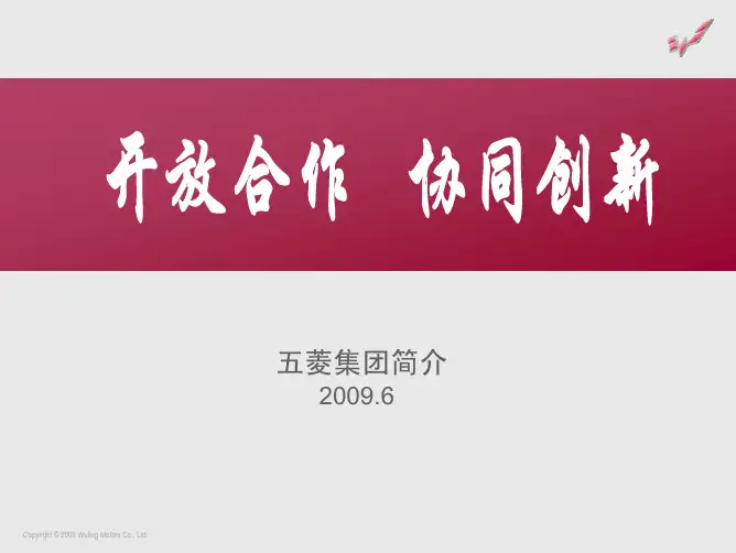 五菱集团公司简介