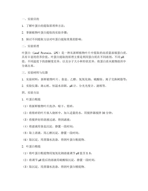叶蛋白提取实验报告