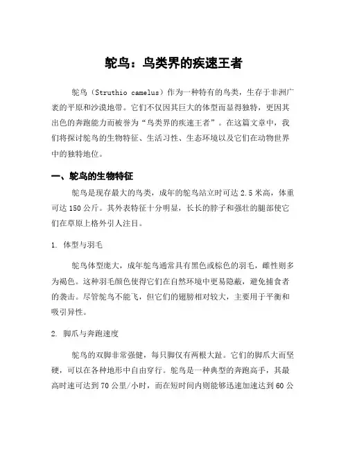 鸵鸟：鸟类界的疾速王者