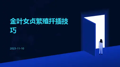 金叶女贞繁殖扦插技巧