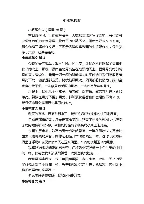 小练笔作文
