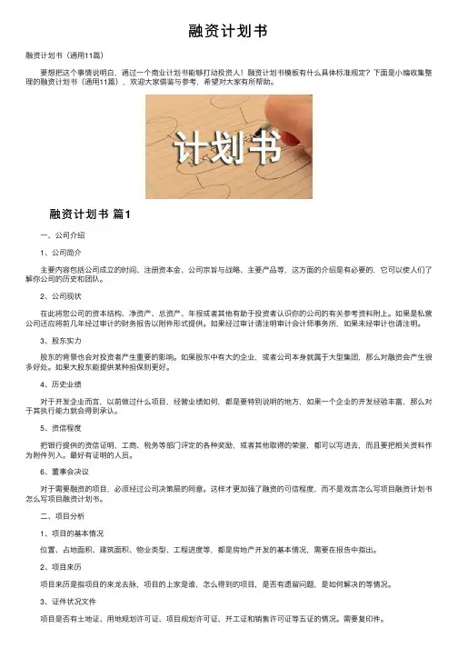 融资计划书——精选推荐