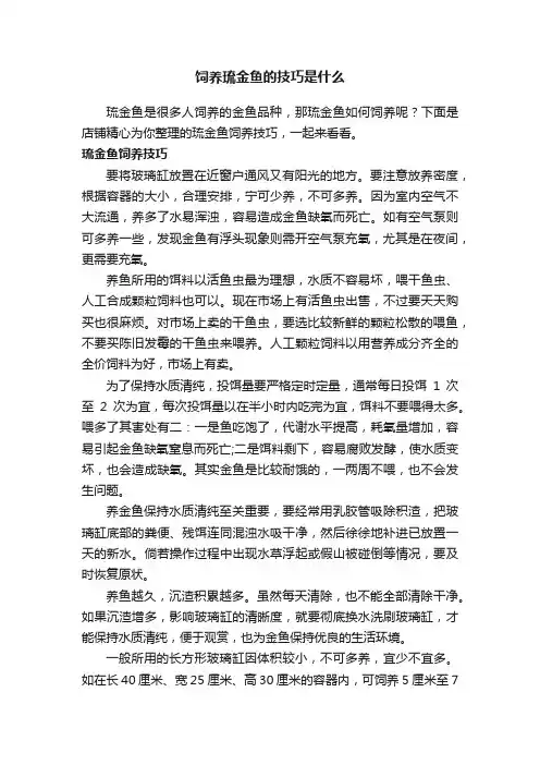 饲养琉金鱼的技巧是什么