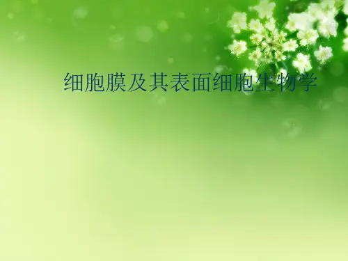 细胞膜及其表面细胞生物学优秀课件