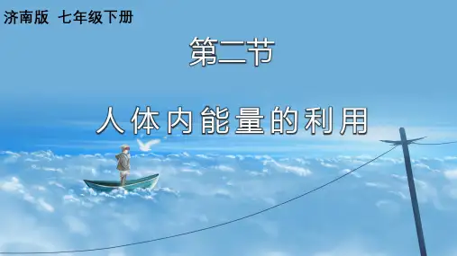 第二节人体能量的利用课件2023-2024学年济南版生物七年级下册