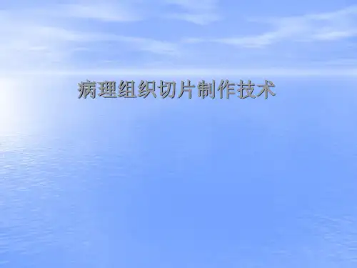 病理组织切片制作技术
