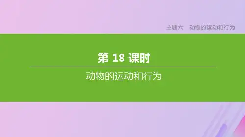 (北京专版)中考生物复习主题六动物的运动和行为第18课时动物的运动和行为课件