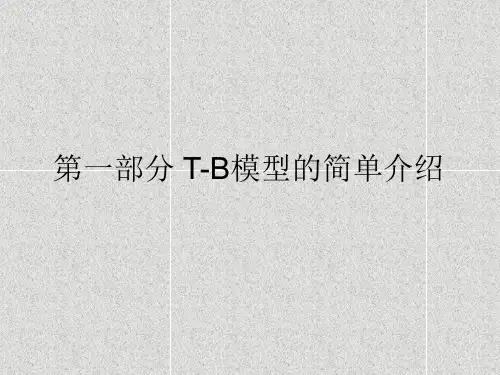 TB模型