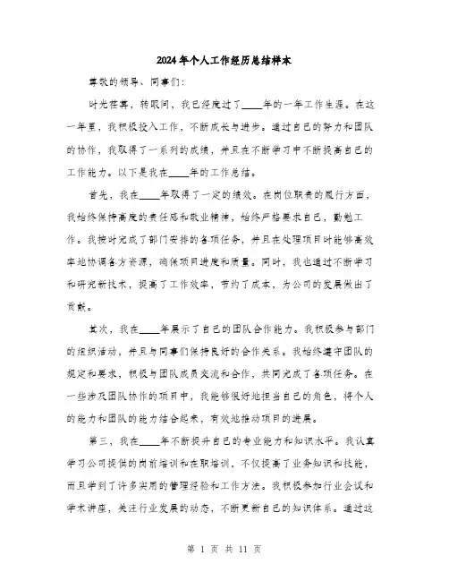 2024年个人工作经历总结样本(五篇)