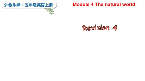 Revision4(课件)牛津上海版英语五年级上册