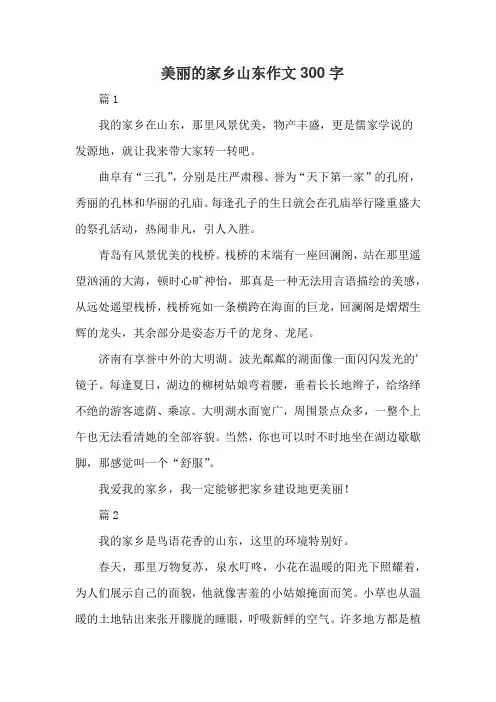 美丽的家乡山东作文300字