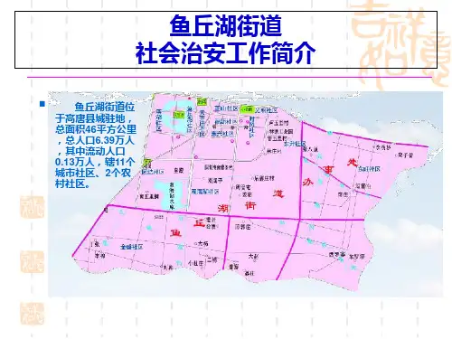 安全社区实有人口实有房屋信息管理系统简介-PPT精选文档