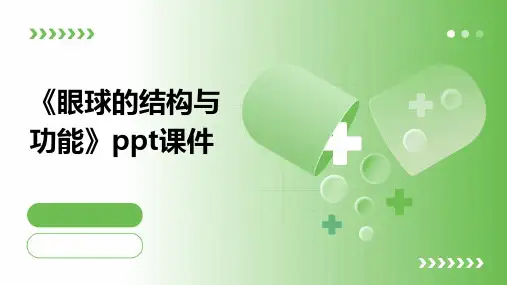 《眼球的结构与功能》课件