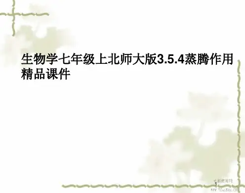 生物学七年级上北师大版3.5.4蒸腾作用精品课件.ppt