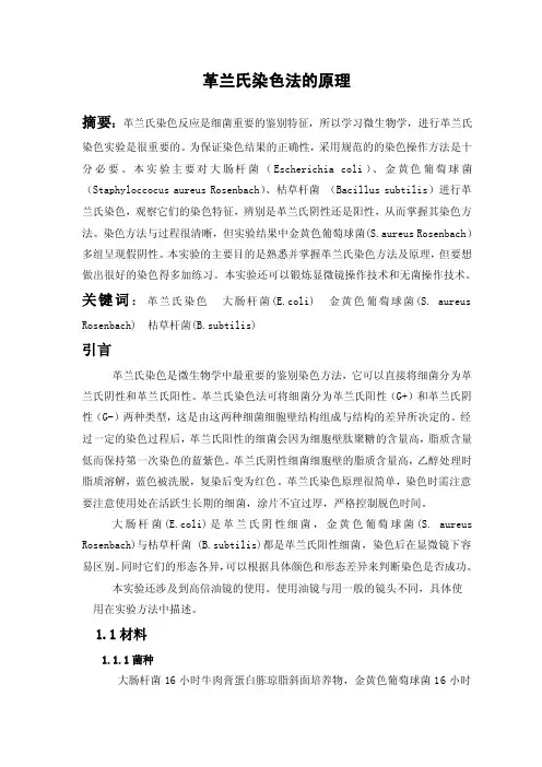 革兰氏染色实验报告