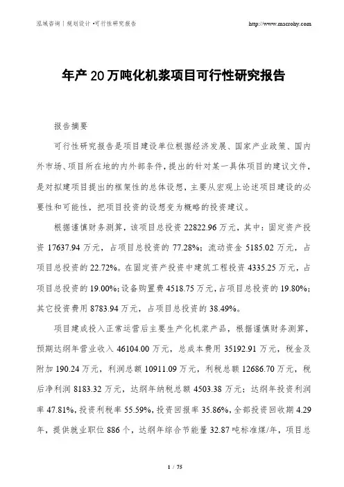 年产20万吨化机浆项目可行性研究报告